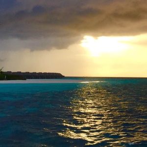 Meet your Posher, Steve